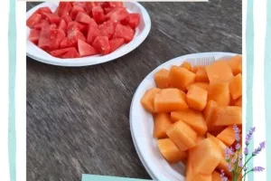 À la découverte du melon du Poitou