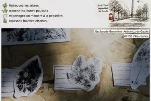 À la rencontre des arbres – Atelier participatif à Gratte-Terre
