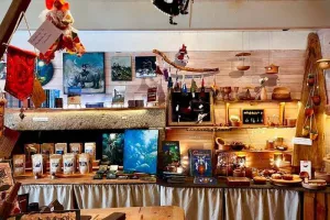 Osméosis au repaire des Grimologues, par Ze Witches