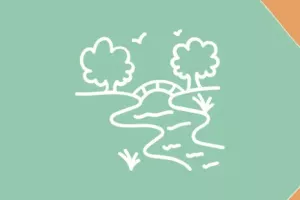 Découverte des oiseaux