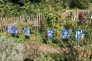 Atelier Cyanotype