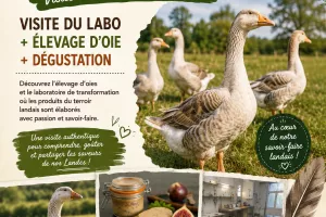 À la découverte de la Tradition Landaise