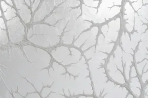 Exposition Toute la beauté du monde