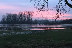 La nature la nuit