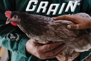 ELEVER AU GRAIN
