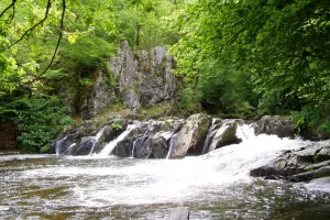 Balade "Le Saut de Gouloux, un site emblématique du Morvan" - Jeudi 6 août