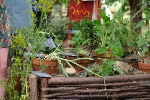 Déambulation Gourmande autour des jeunes pousses