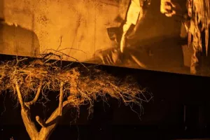 L'Empreinte: Pétrole