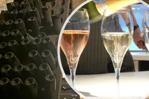 IMMERSION GUSTATIVE DANS LE MONDE DES CRÉMANT DE BOURGOGNE ET D’AILLEURS !
