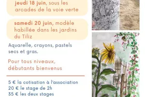 Stages en extérieur de dessin et peinture