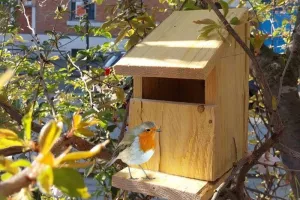 Fabriquez votre nichoir à oiseaux en duo Parent-enfant