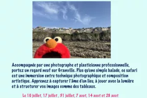 Stage d'été - Safari photo