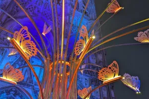 Rayonances - Parcours lumineux
