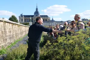 Visites guidées du Potager du Roi