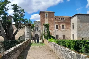 Visite du château de Rogé