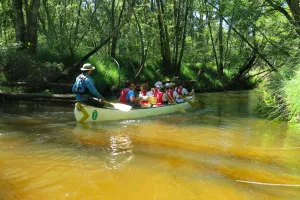 Descente de la Leyre en canoë collectif, le C10