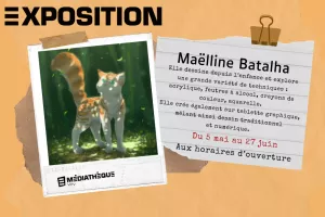 Médiathèque de Viry : Exposition Maëlline Batalha