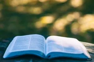 Lectures au jardin - 3 ans et plus
