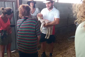 Accueil à la Ferme : Ferme Bovine et Ovine et Brasserie Dobla en Pays de Saint-Aulaye