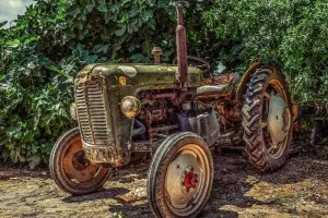 Fête des laboureurs