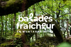 BALADES FRAÎCHEUR - SENTIER DES GLACIÈRES