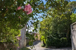 Octobre rose à Sainte-Colombe-en-Brulhois