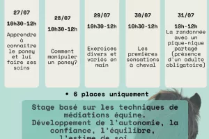 La semaine des poneys