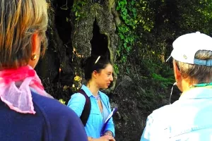 Le remembrement : histoire du bocage