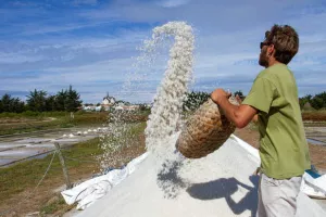 Visites guidées des Marais salants de la Vie