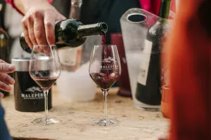 LES JEUDIS EN MALEPÈRE 2026 - DOMAINE LE FORT