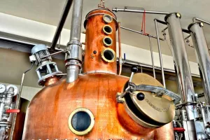 Visite guidée privée premium de la distillerie