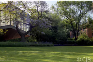 Visite à deux voix: Nature et architecture