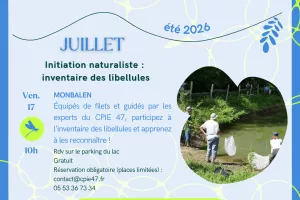 Initatiation naturaliste : à la découverte des papillons !