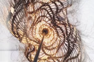 Exposition de vannerie d'art de Stéphane Foret-Deleau