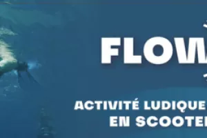 Flow pulse