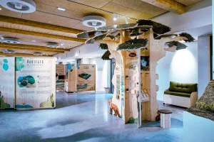 Visite commentée de l'exposition permanente