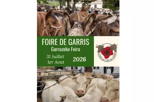 Foire aux chevaux
