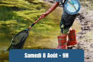 Estivales de l'eau - De l'eau'tre côté du miroir, les bêtes fantastiques