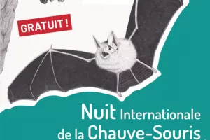 A la découverte des chauves-souris
