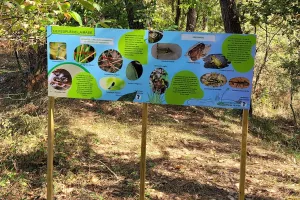 Festival de lecture à haute voix du Landais