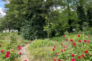 Découverte de l’agroforêt urbaine Sylvia