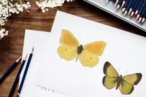 Atelier d’activités manuelles - Bibliothèque francophone multimédia de Limoges