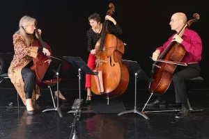 15e festival Cordes et Compagnies