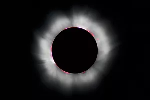 Observation de l'éclipse solaire