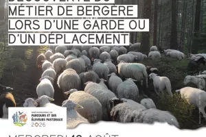 Apéro-pasto à Vassivière : Découverte du métier de bergère