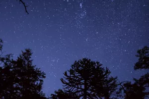 La tête dans les étoiles