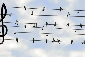 Concert Gospel