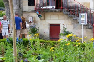 Exposition : Clarisse Chauvin