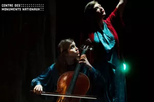 Concert - Birds on a wire