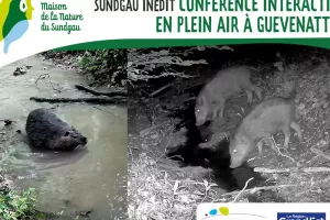 Conférence interactive en plein air à Guevenhatten